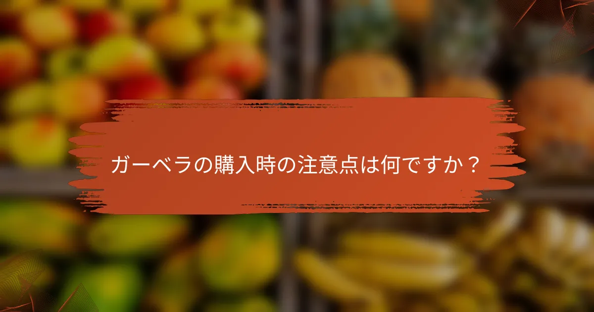 ガーベラの購入時の注意点は何ですか？