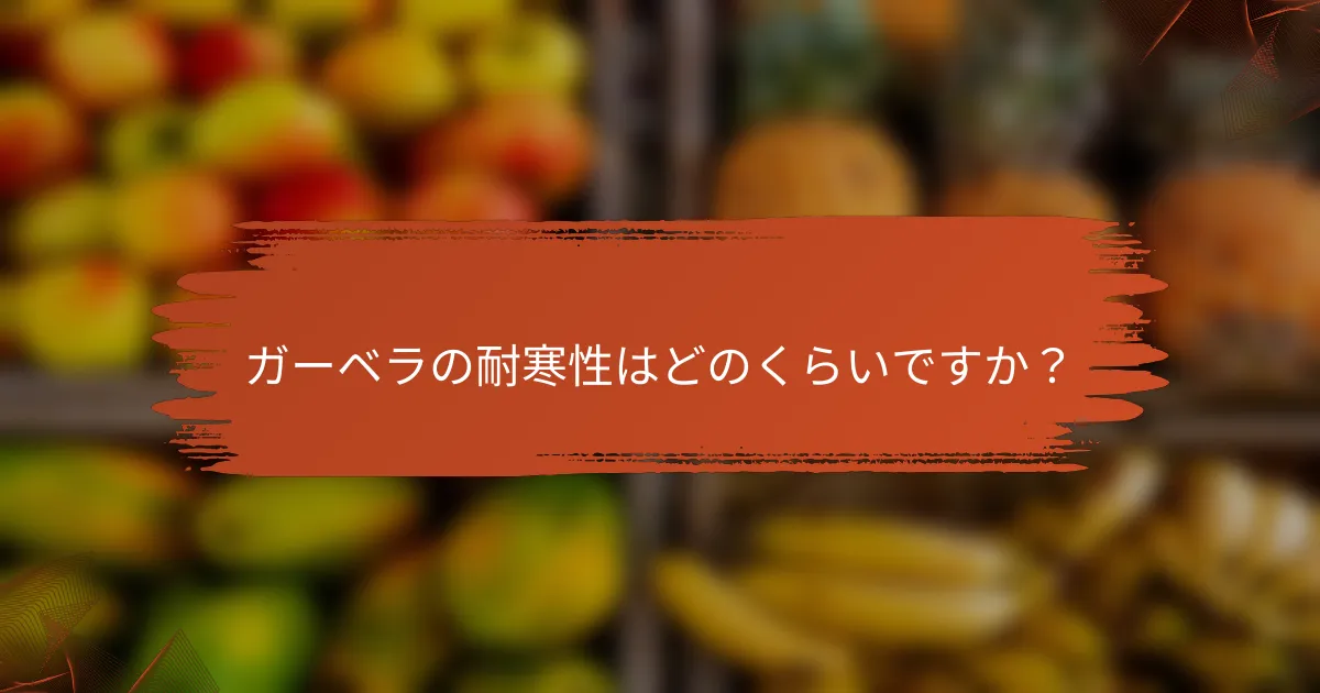 ガーベラの耐寒性はどのくらいですか？