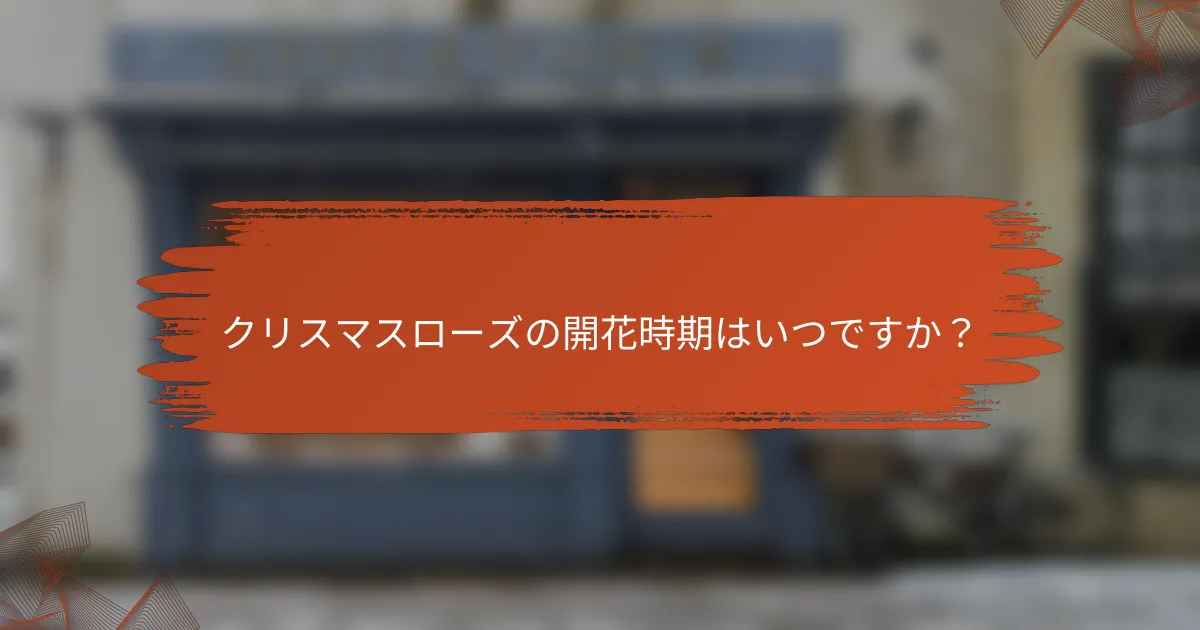 クリスマスローズの開花時期はいつですか？