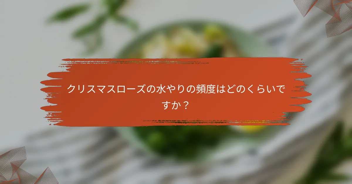 クリスマスローズの水やりの頻度はどのくらいですか?