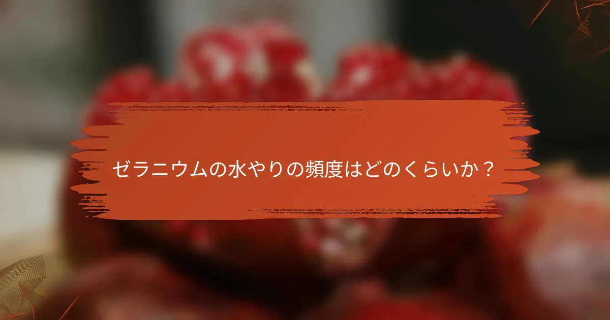 ゼラニウムの水やりの頻度はどのくらいか?